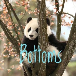 Bottoms